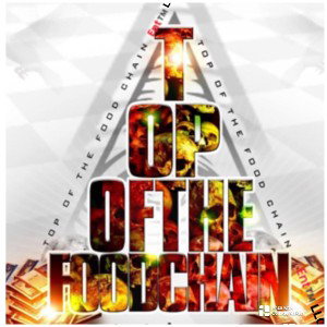 TOP INC MUSIC GROUP