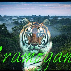 Cramogang