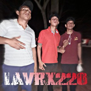VRX 220 