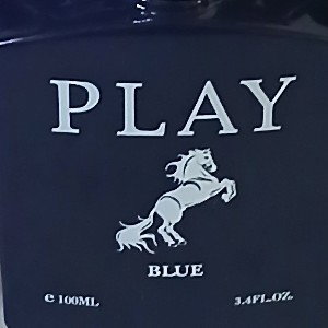 lyrical horse
