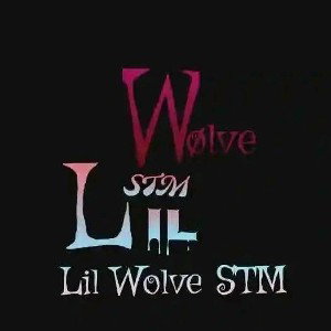STM Gang
