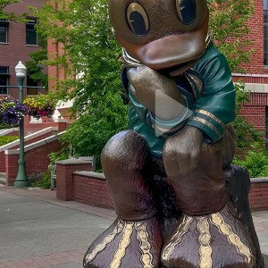 Duck guns