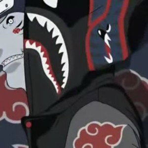Kss king snakes