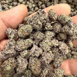 CannaCrew