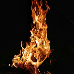 FlameX