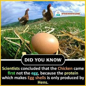 Great thinkers