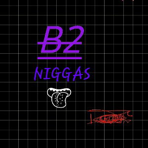 B2 NIGGAS