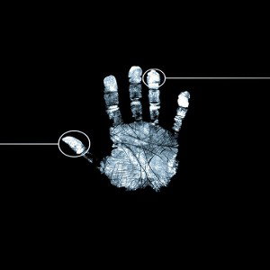 Intelligent life forms