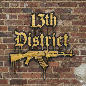 13TH DISTRICT