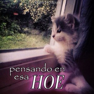 Hola Soy Pankky