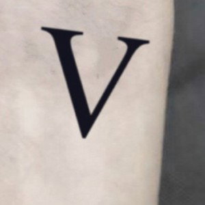 Vicissitude