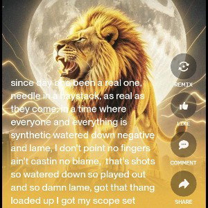 We R ThE LioN''s