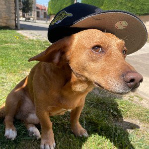 chiki pedofilo #fentanilo
