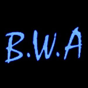 Bad Will Ambassadors
