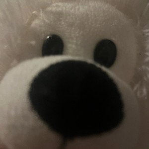 Badbearb!tchcrew