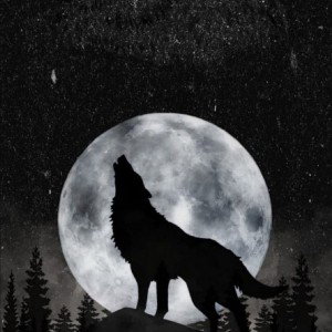 Howl of wolves