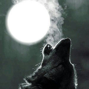 Black Volf Lirik