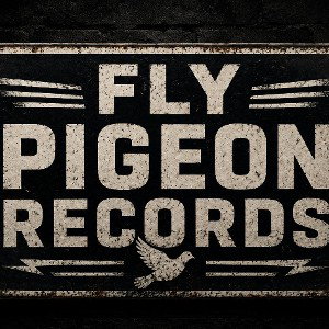 Fly pigeon records