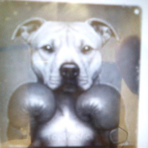 Pittbull Crew