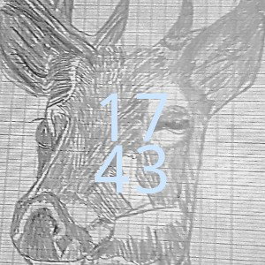 Gang 49