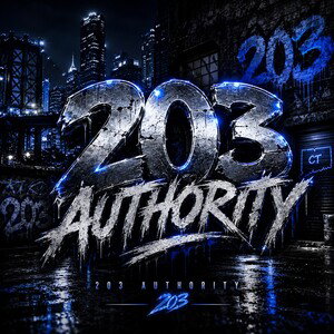 203 AUTHORITY