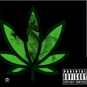 Stray jacket kid records