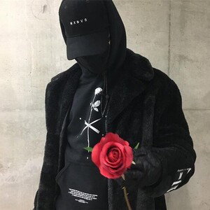 Maestro - fertilizer
