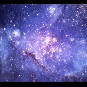 The cosmic web