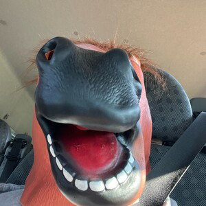 NEIGH: the crew