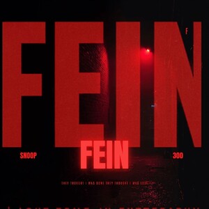 FOEVA300ENT