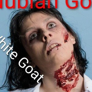 Nubian God
