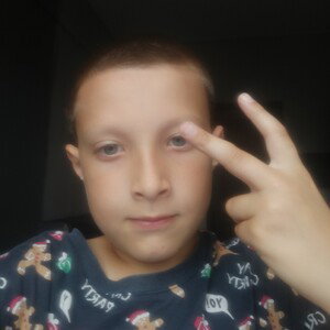 Попугаи