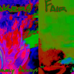 The Fair