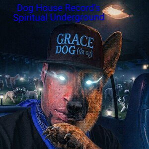 Dog House record's
