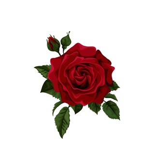 Roseworld
