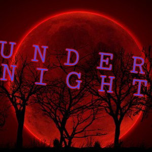 UNDERNIGHT 2.0