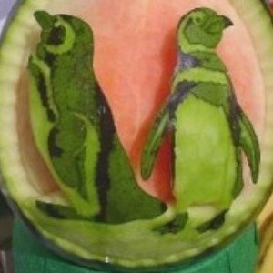 The fruitss