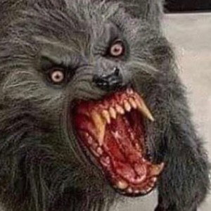 UNDER-DOG Veteran