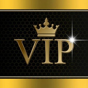V.Ꭵ.P