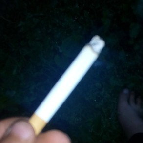 cigarekľa labara