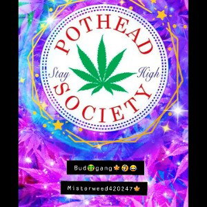 BUDGang420