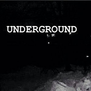 PLT UNDER