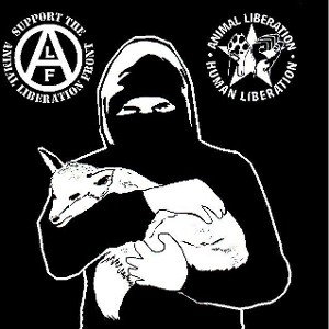 FightForAnimals
