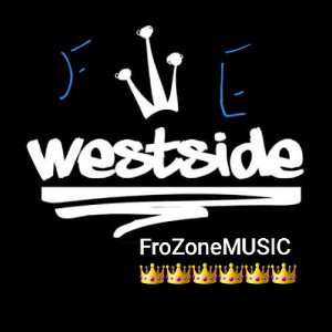 FroZoneMUSIC
