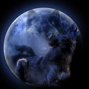 Wolf_gang