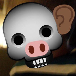 RagePlaysgaming