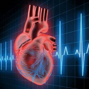 El BPM Del Corazón