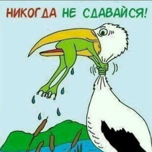 .A.S.D. 