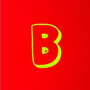  B.A.R.A.T"s