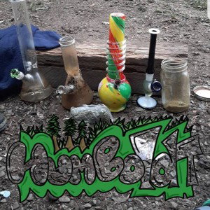 Humboldt county